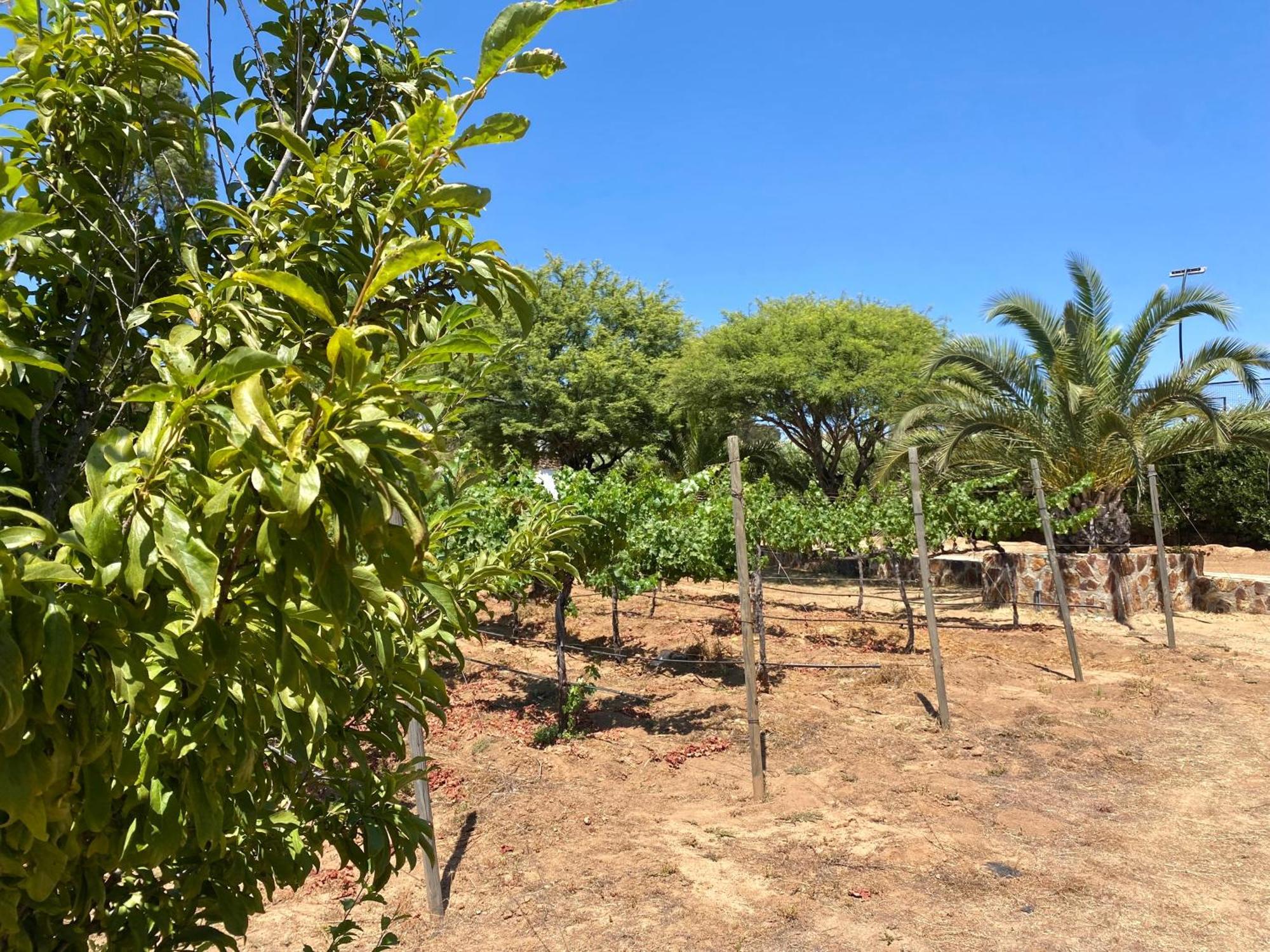 Tierra Mia Hacienda Ruta Del Vino Valle de Guadalupe Exterior foto
